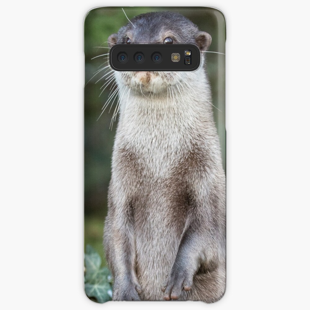Otter paw-trait Case & Skin for Samsung Galaxy