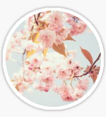 Cherry dream Sticker