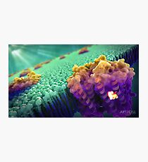 Bacteriorhodopsin Protein Photographic Print