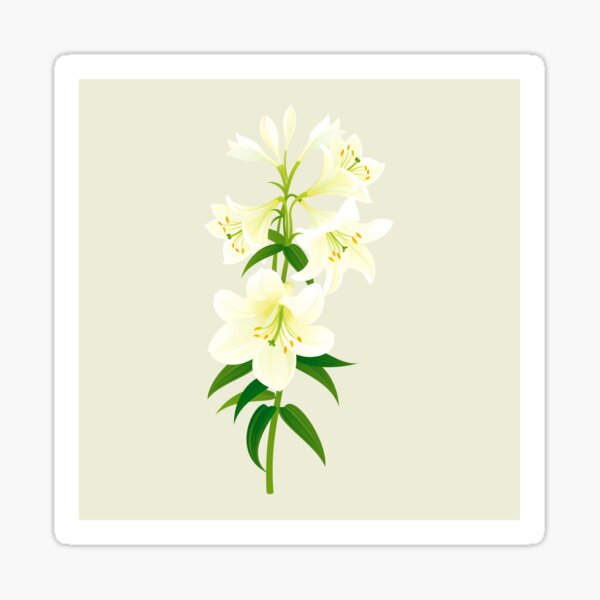 White Lily Sticker
