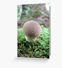Witch's Cupcake Shroom Greeting Card