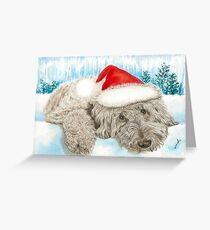 Christmas Chocolate Labradoodle Pup Greeting Card
