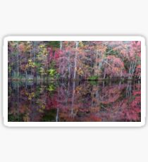 Canton, New Jersey USA Pond Peak Color Sticker