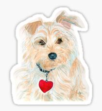 Schnoodle Sticker