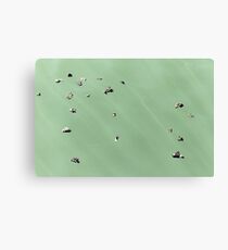 jetsam Canvas Print