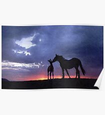Horses in Love 2 Poster