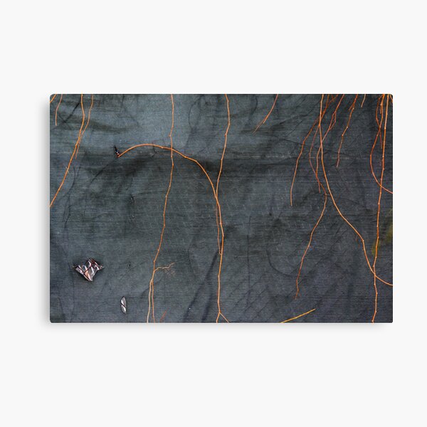 Layers Canvas Print