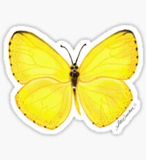 Yellow Butterfly Sticker