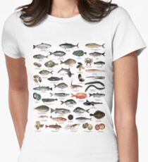 NZ fish species Women's Fitted T-Shirt