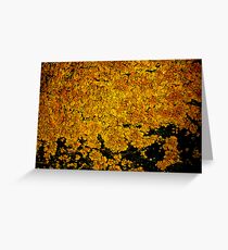 Lichen # 3 Greeting Card
