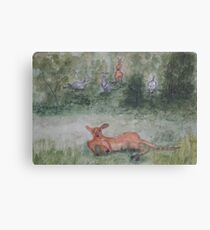 Kangaroos. Canvas Print