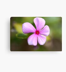 Pink Flower Canvas Print