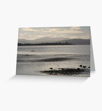 Bruny Island Greeting Card