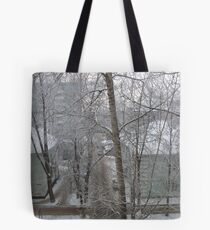 winter view-1 Tote Bag