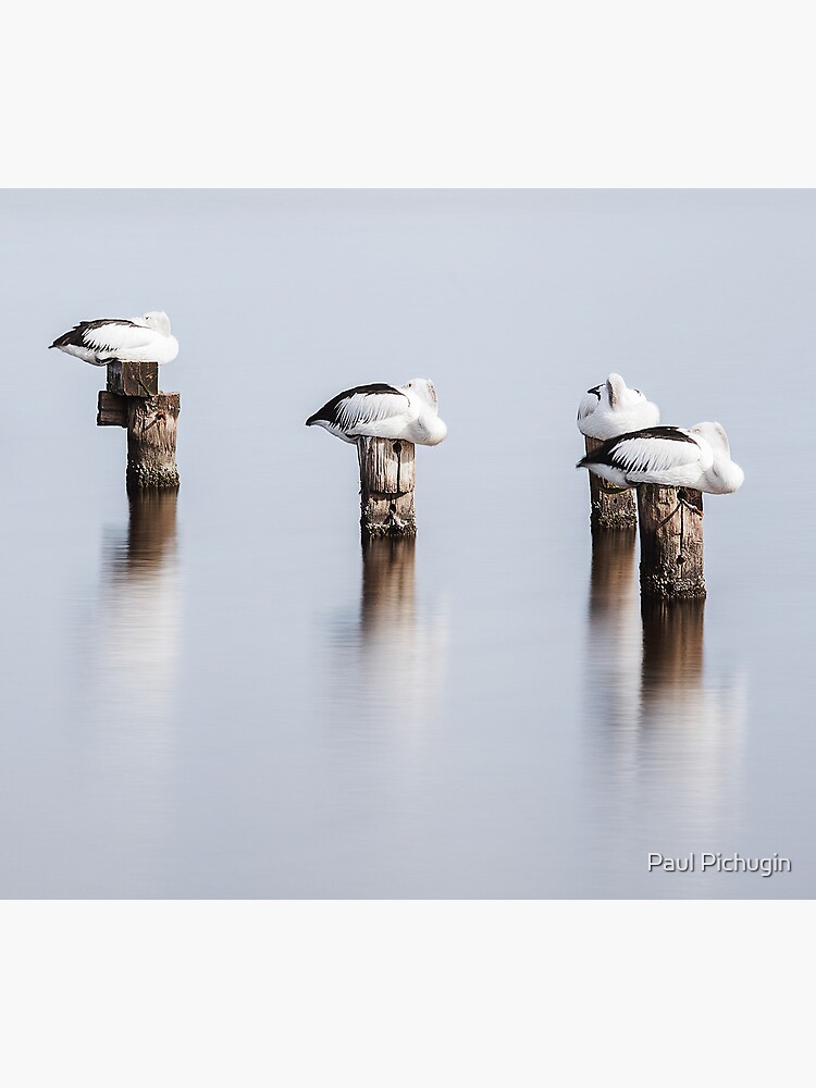 Stillness by paulmp