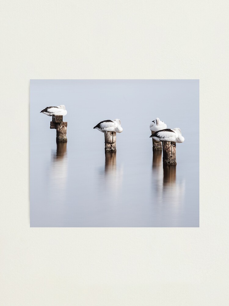 Alternate view of Stillness Photographic Print