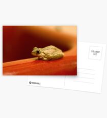 Frog on the Basin Postcards