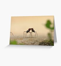 Ants... communicating? Greeting Card