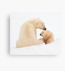 A mother's love Canvas Print