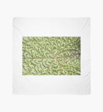 wrinkled leaf Scarf