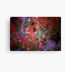 Weed? Canvas Print