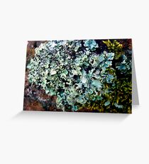 Lichen # 43 Greeting Card