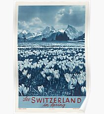 Vintage poster - Switzerland Poster