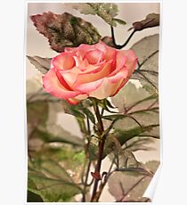 Real Rose And Not So Real Leaves Poster