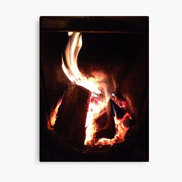 Log fire Canvas Print