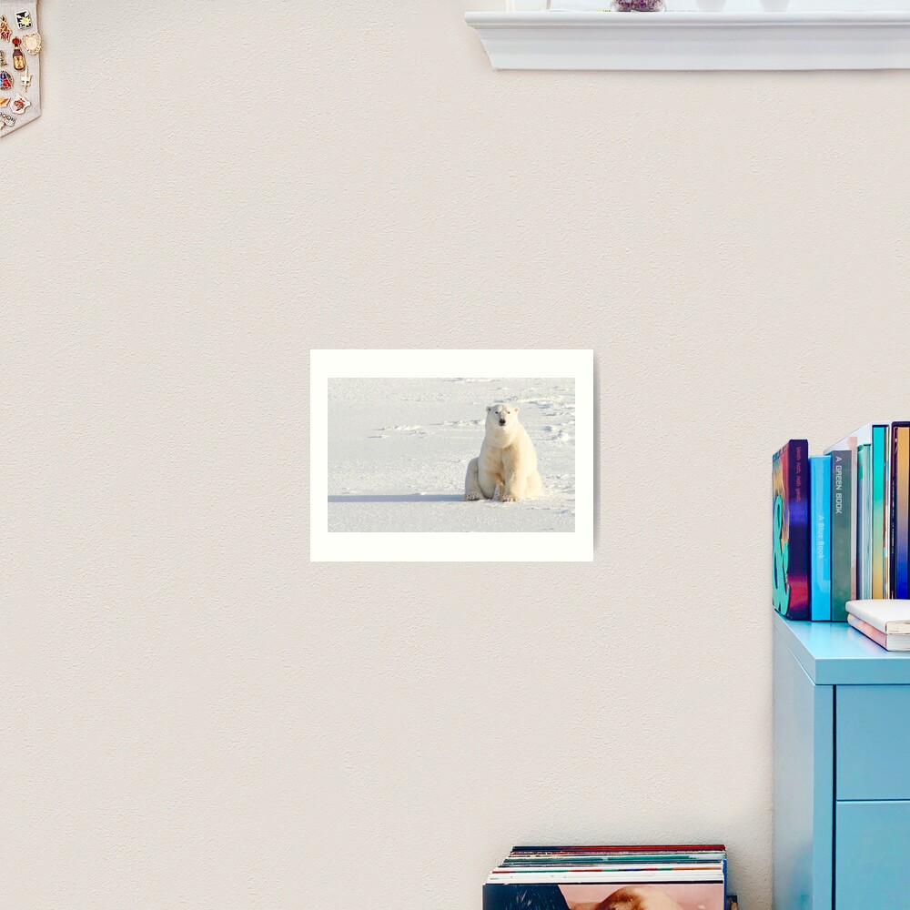 Sitting on the ice Art Print