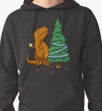 The Struggle Pullover Hoodie