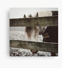 Through the Bars Canvas Print