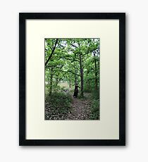 Expectant Framed Print
