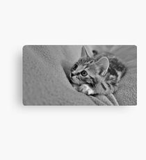 Little MillieMac..... Hunter Metal Print