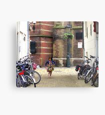 In a hurry Metal Print
