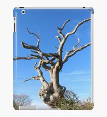 Old Tree iPad/iPhone Case iPad Case/Skin