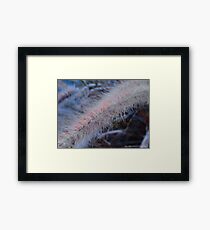 Nature Framed Print