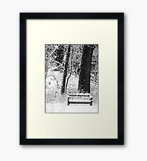 Nichols Arboretum Framed Print