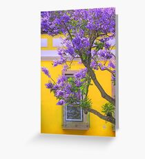 jacaranda Greeting Card