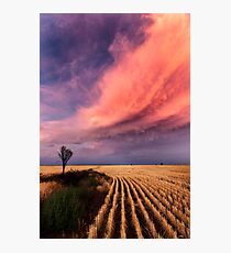 Taking the Long View Photographic Print