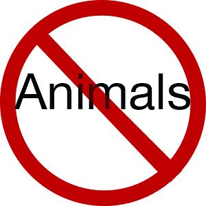 "No Animals" by Chris Curnow | Redbubble
