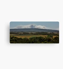 Bushfire Canvas Print
