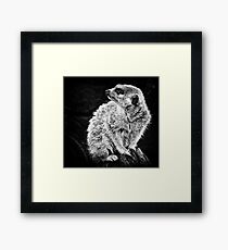 Don't mess with me Framed Print