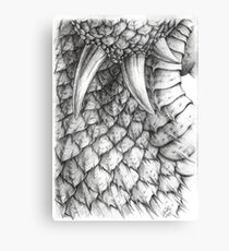 Scales Canvas Print