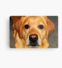 Lab Metal Print