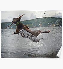 Jumping for Joy Poster