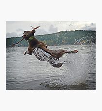 Jumping for Joy Photographic Print