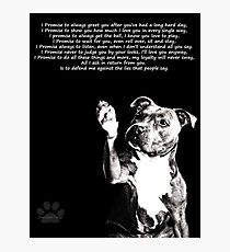 I'll Love You Anyway Photographic Print