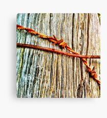 Rusty Canvas Print