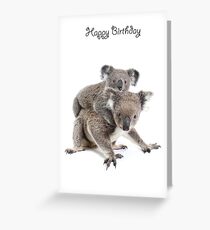 A koala Happy Birthday 2P Greeting Card